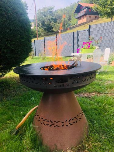 L'Hippocampe - photo 3