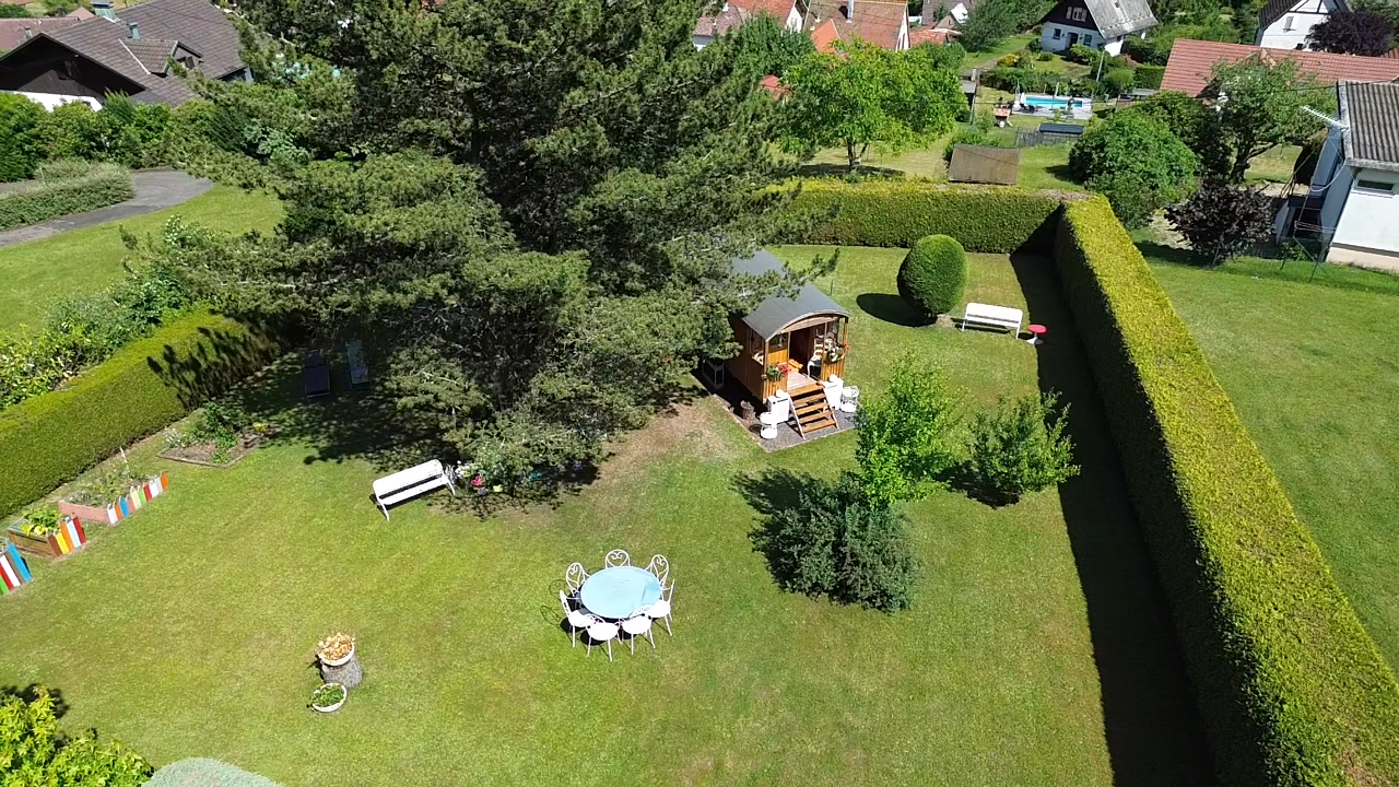 L'Hippocampe - photo 3