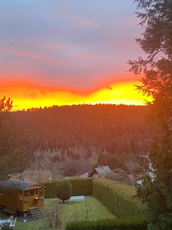 L'Hippocampe - photo 12